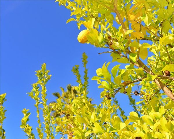 45525 Highway 79 Lot 180, Aguanga, CA 92536