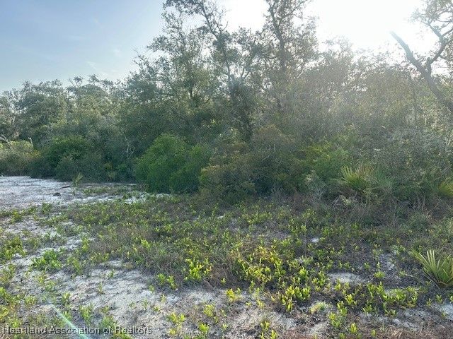 259 Dargen Drive, Lake Placid, FL 33852