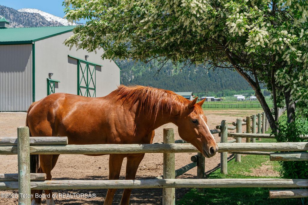 86 HAWK'S REST RD, Etna, WY 83118 photo 18