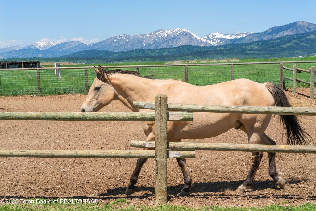 86 HAWK'S REST RD, Etna, WY 83118 photo 43