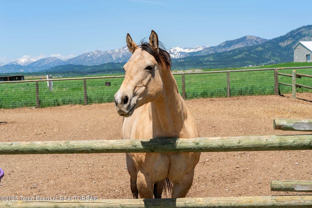 86 HAWK'S REST RD, Etna, WY 83118 photo 44