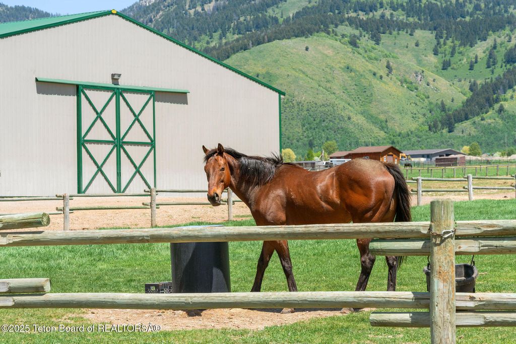 86 HAWK'S REST RD, Etna, WY 83118 photo 53