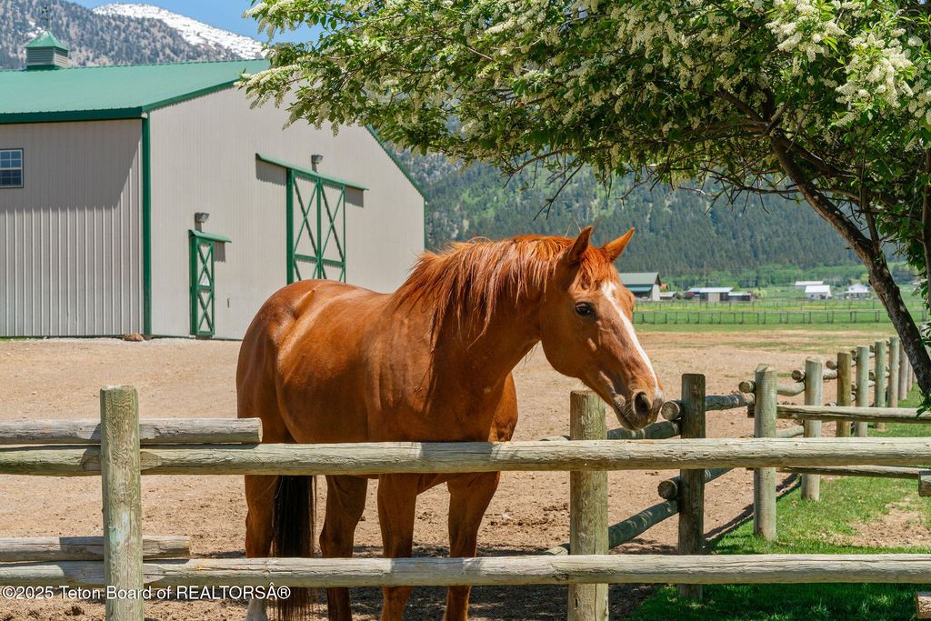 86 HAWK'S REST RD, Etna, WY 83118 photo 58
