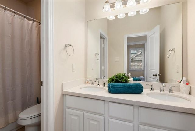 3930 Desert Zinnia Court, Manvel, TX 77578