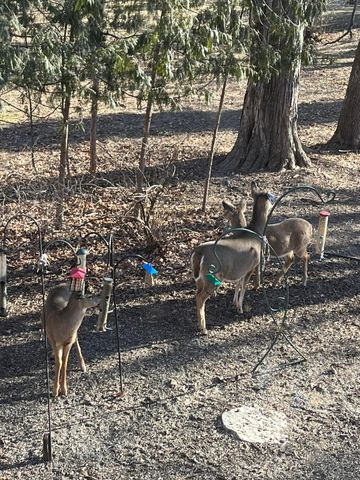 1135 1st Street NW, Oronoco, MN 55960