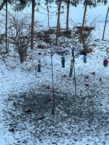 1135 1st Street NW, Oronoco, MN 55960