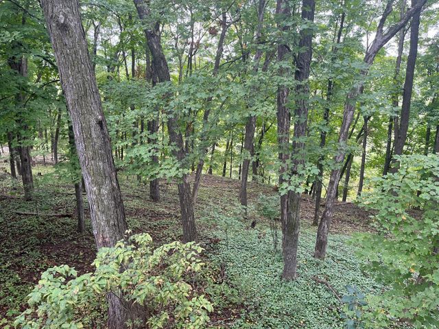 1135 1st Street NW, Oronoco, MN 55960