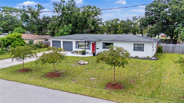 10246 N VALLE DRIVE, Tampa, FL 33612