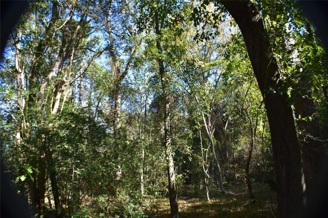 3415 Evergreen Drive, Kingwood, TX 77365
