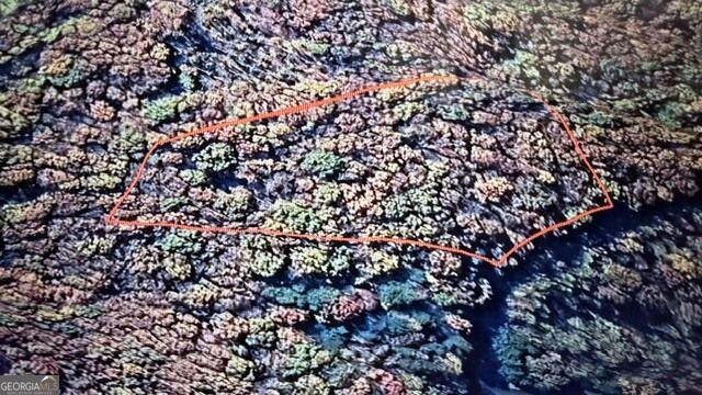 LOT 82 Baltusrol Run, Ellijay, GA 30536