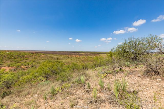 12416 FM 707, Hawley, TX 79525