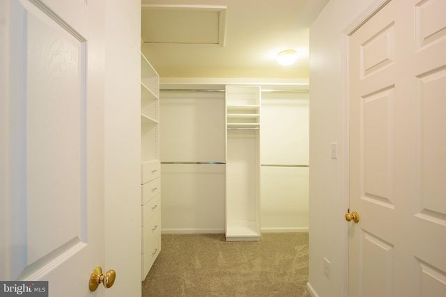 236 BECKINGTON CT, Middletown, DE 19709