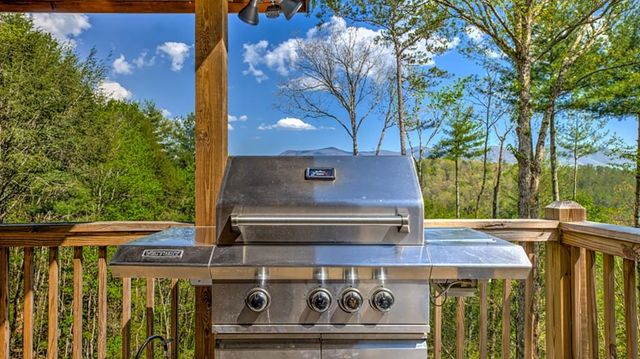 43 S Dustin Drive, Ellijay, GA 30540