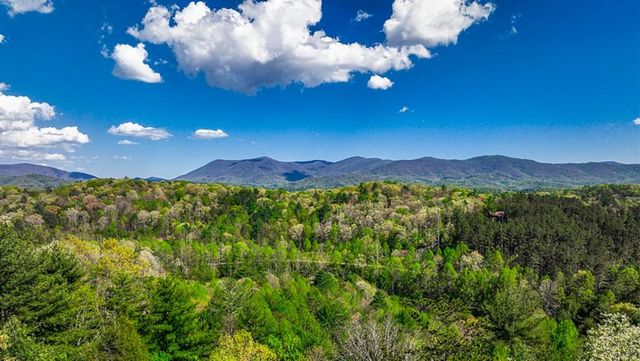 43 S Dustin Drive, Ellijay, GA 30540