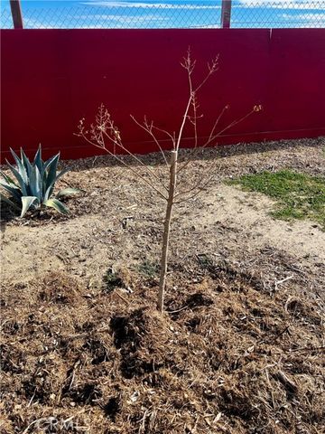 171 Ste Vic Avenue Q2, Palmdale, CA 93591