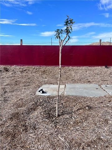 171 Ste Vic Avenue Q2, Palmdale, CA 93591