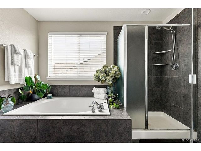 13080 Tamarac St, Thornton, CO 80602