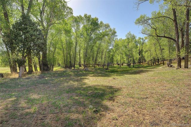 15380 County Road 350, Buena Vista, CO 81211