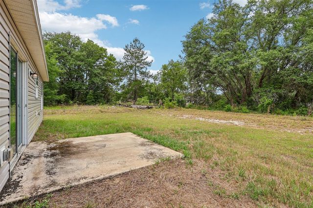 223 MALAUKA ROAD, Ocklawaha, FL 32179