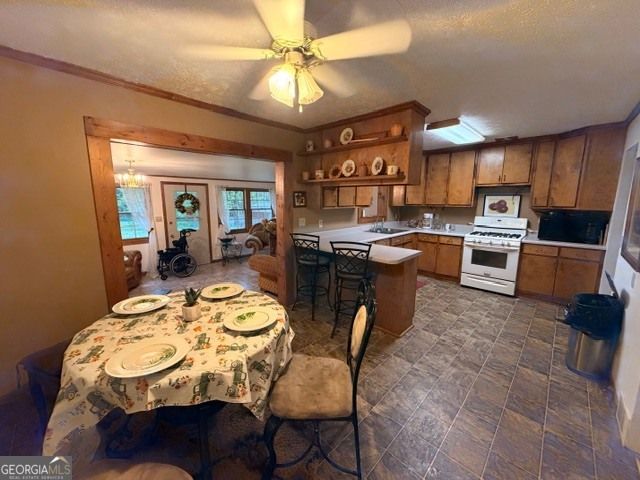 1262 Robinwood Lane, Elberton, GA 30635