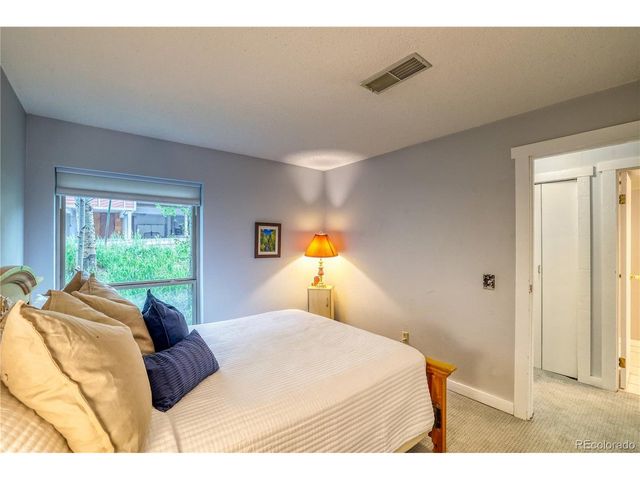 2510 Ryan Gulch Rd 2512, Silverthorne, CO 80498