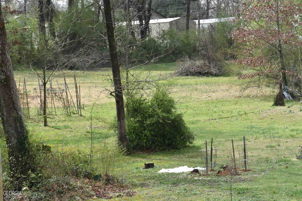 3814 Highway 17 Alt, Eastanollee, GA 30538 — photo 5