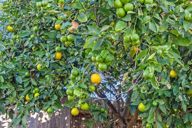 453 Shadow Tree Drive, Oceanside, CA 92058