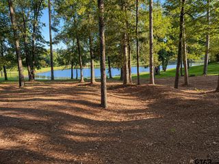 228 Carltons Way, Bullard, TX 75757