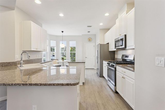 295 SILVER MAPLE ROAD, Groveland, FL 34736