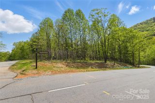 Lot 2049 Deep Gap Farm Road W 2049, Mill Spring, NC 28756