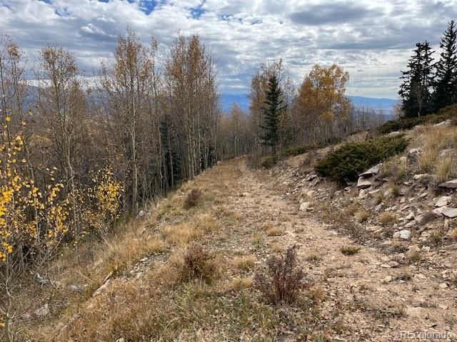 Lot 6557 Schlueter Road, San Luis, CO 81152