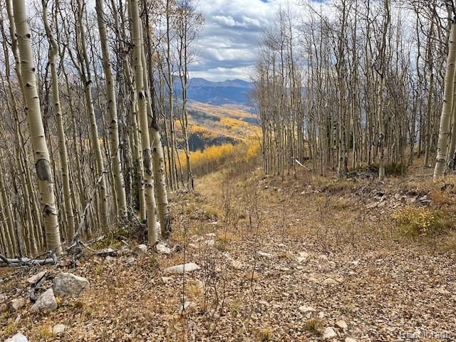 Lot 6557 Schlueter Road, San Luis, CO 81152