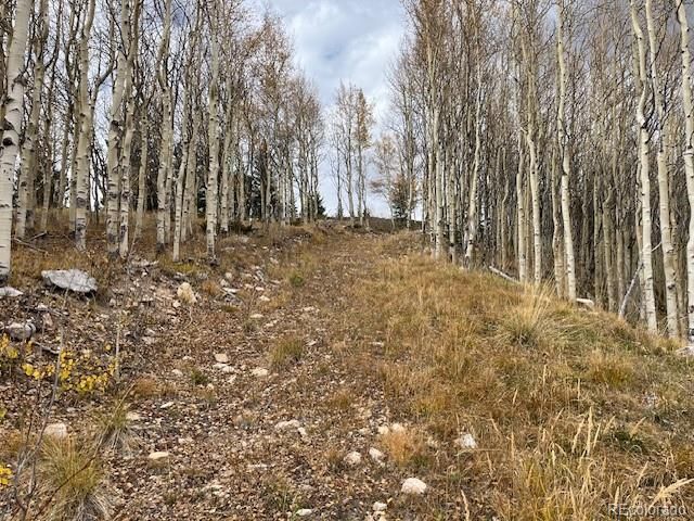 Lot 6557 Schlueter Road, San Luis, CO 81152