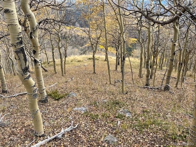 Lot 6557 Schlueter Road, San Luis, CO 81152