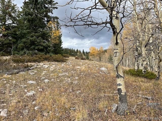 Lot 6557 Schlueter Road, San Luis, CO 81152