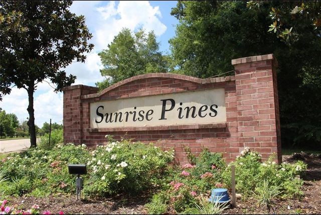 9914 Waldens Pond Court, Houston, TX 77044
