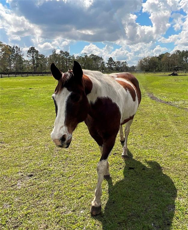 Image 36 of property listing at 1100 TALLACOE TRAIL, New Smyrna Beach, FL 32168