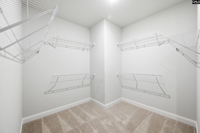 349 Mont Haven Place, Lexington, SC 29072