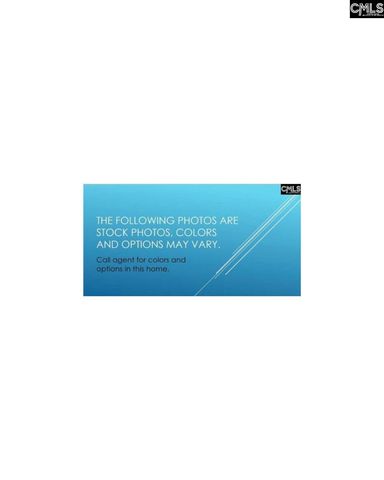 349 Mont Haven Place, Lexington, SC 29072