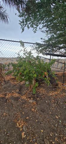 1393 Pine Place, Thermal, CA 92274