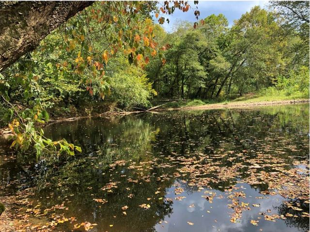 9500 KY-59, Vanceburg, KY 41179