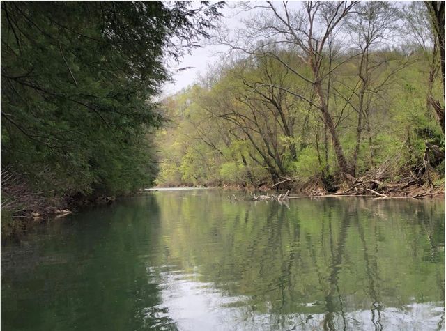 9500 KY-59, Vanceburg, KY 41179