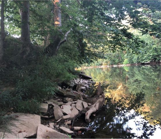 9500 KY-59, Vanceburg, KY 41179