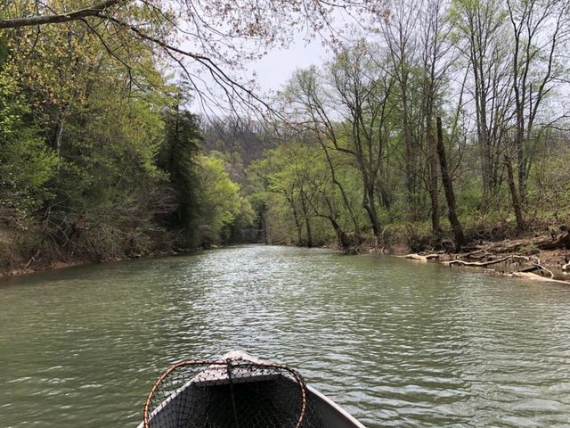 9500 KY-59, Vanceburg, KY 41179