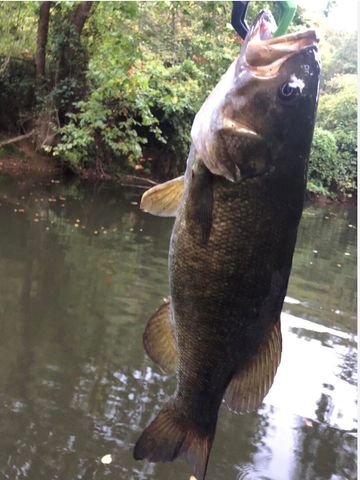 9500 KY-59, Vanceburg, KY 41179