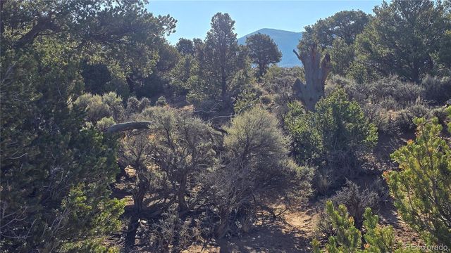 Lot 3715 Hartgrave Road, Fort Garland, CO 81133
