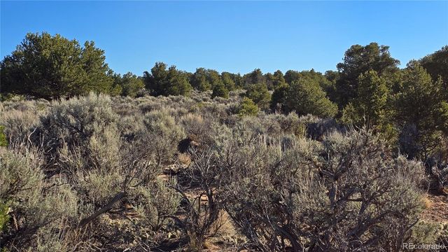 Lot 3715 Hartgrave Road, Fort Garland, CO 81133