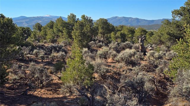 Lot 3715 Hartgrave Road, Fort Garland, CO 81133