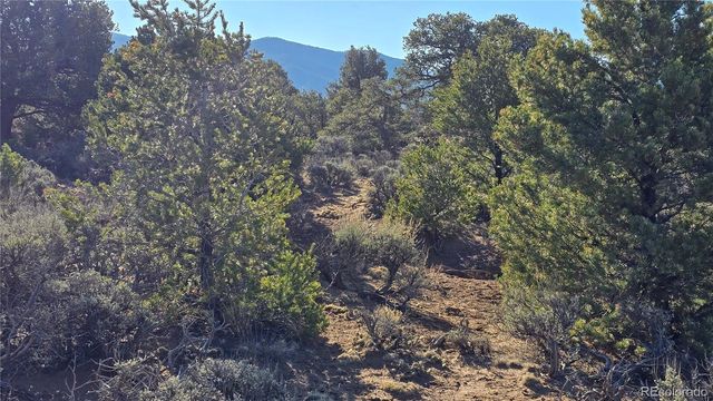 Lot 3715 Hartgrave Road, Fort Garland, CO 81133