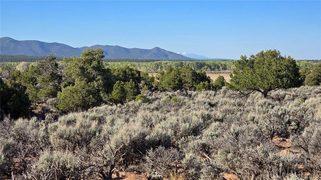 Lot 3715 Hartgrave Road, Fort Garland, CO 81133